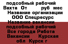 подсобный рабочий . Вахта. От 30 000 руб./мес. › Название организации ­ ООО Спецресурс › Название вакансии ­ подсобный рабочий - Все города Работа » Вакансии   . Курская обл.,Курск г.